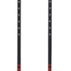 Black Diamond Trail Trekking Poles