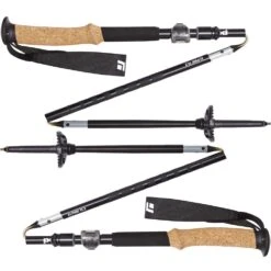 Black Diamond Alpine FLZ Trekking Poles -Camelbak Camp Shop 0039364 alpine flz trekking poles