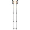 Leki Legacy Lite AS Poles